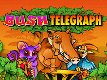 Bush Telegraph – яркий и популярный игровой автомат от Microgaming