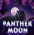 Игровые автоматы Panther Moon играть бесплатно