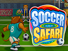 Soccer Safari от Microgaming в казино с бонусом